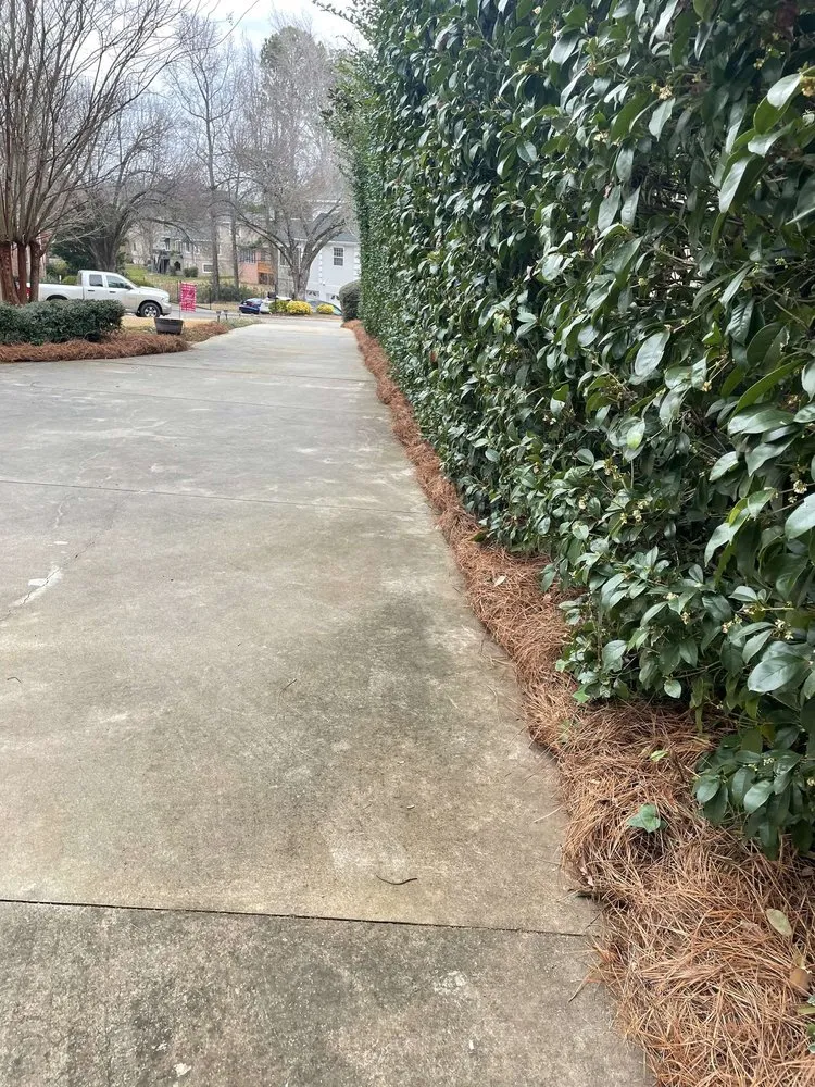 Top-rated landscaping services experts serving Lexington, SC - Cbm Landscapes