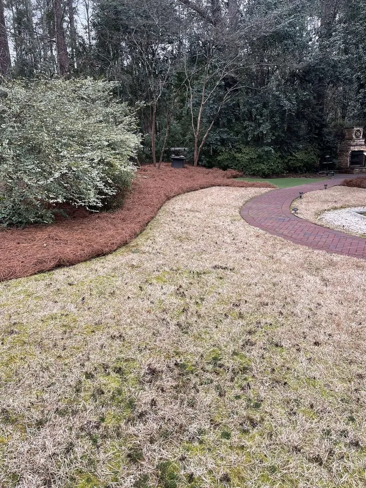 Expert landscaping services in Lexington, SC by Cbm Landscapes