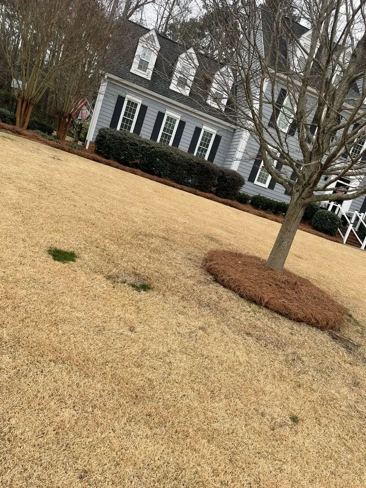 Expert residential landscaping in Lexington, SC - Cbm Landscapes