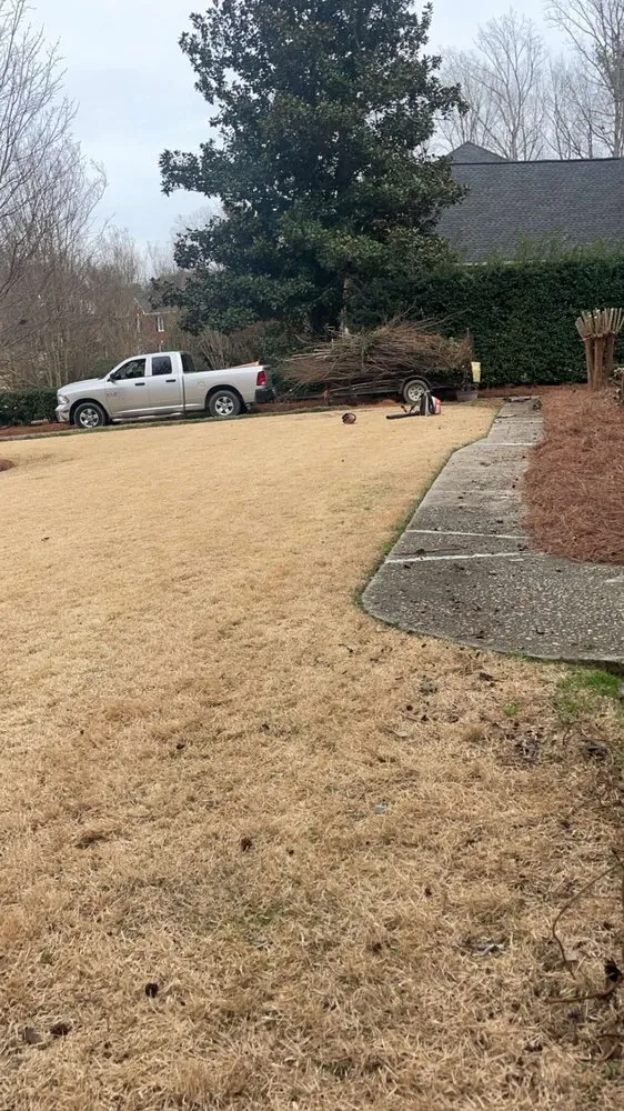 Top-rated landscape installation in Lexington, SC by Cbm Landscapes