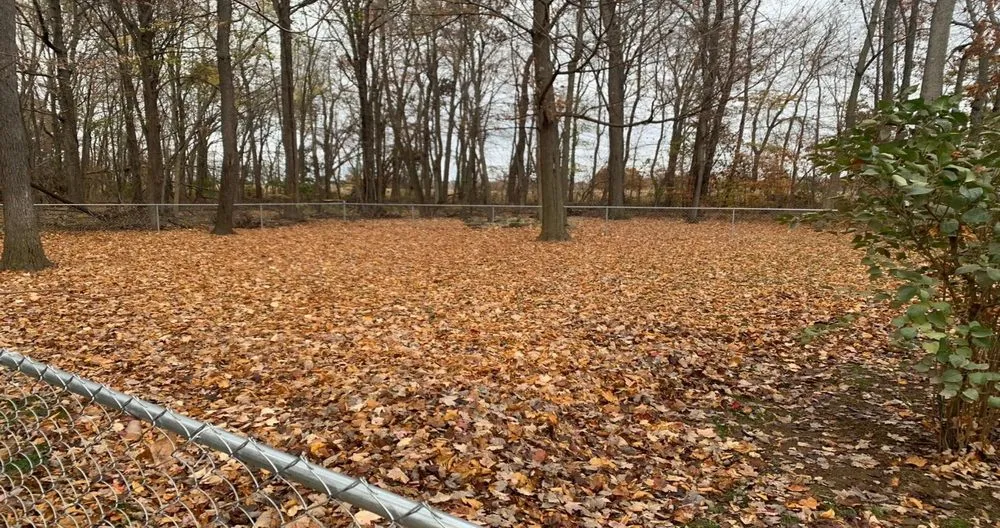 Trusted landscape design for residential properties in Jackson, MI by CBM Landscaping