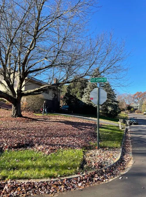 Reliable yard cleanup service in Jackson, MI by CBM Landscaping