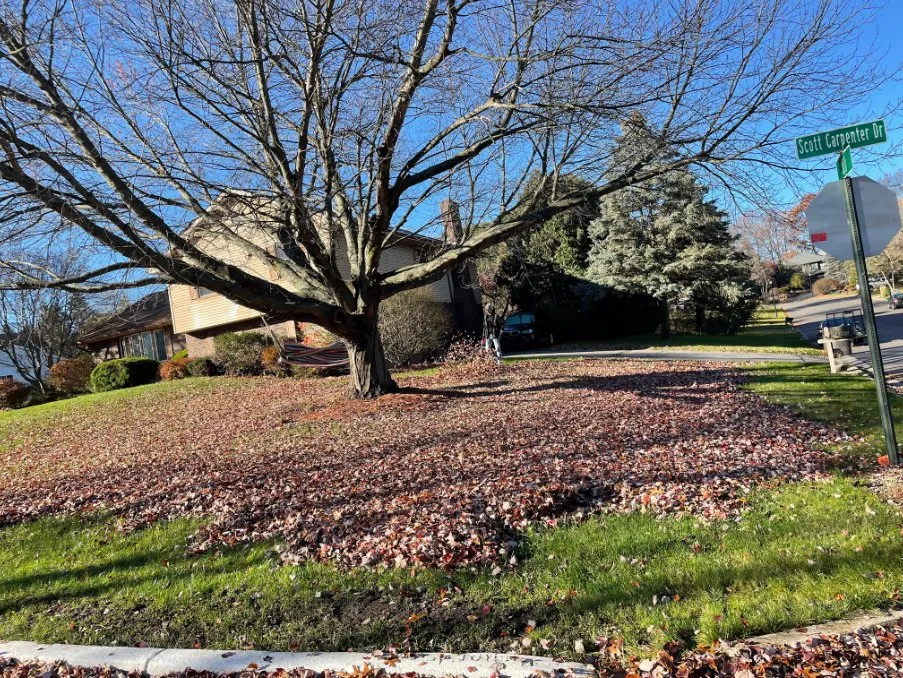 Custom yard maintenance experts serving Jackson, MI - CBM Landscaping