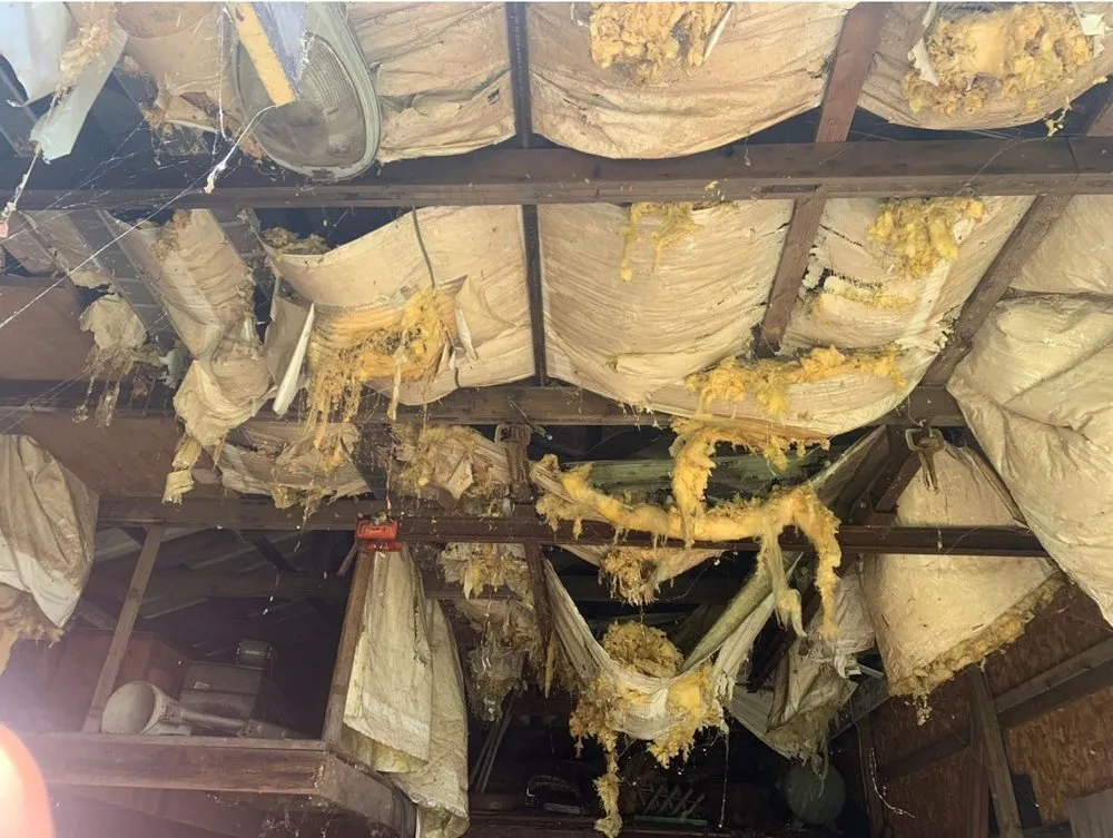 Expert landscape installation in Jackson, MI - CBM Landscaping