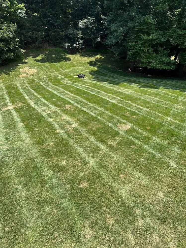 Professional landscaping services in Youngsville, NC - CBM Landscaping