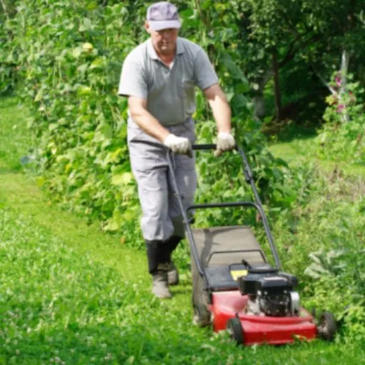 Top-rated lawn mowing service experts serving Cleveland, TN - Cbp Cleaning & Landscaping