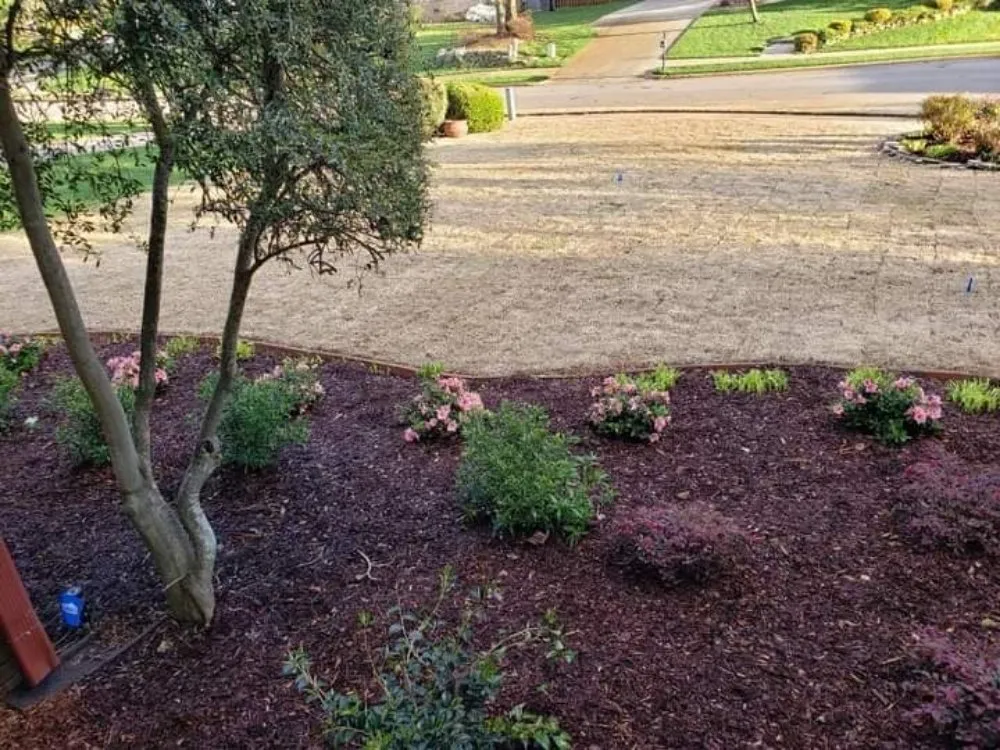 Affordable lawn mowing service in Huntsville, AL - CB's Irrigation Repair and Landscaping