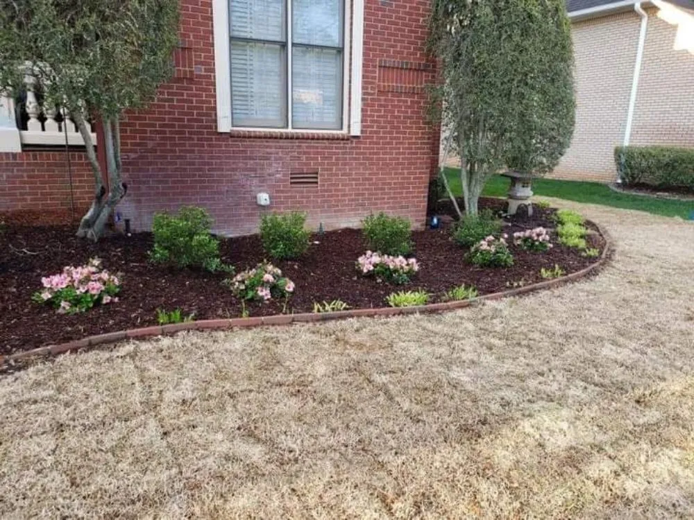 Expert yard cleanup service in Huntsville, AL - CB's Irrigation Repair and Landscaping