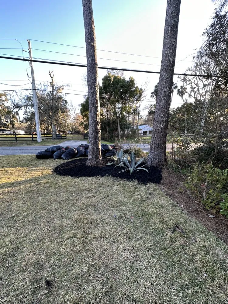 Reliable yard cleanup service for year-round maintenance across Bryceville, FL - CB’s Landscaping & Lawn Maintenance Services