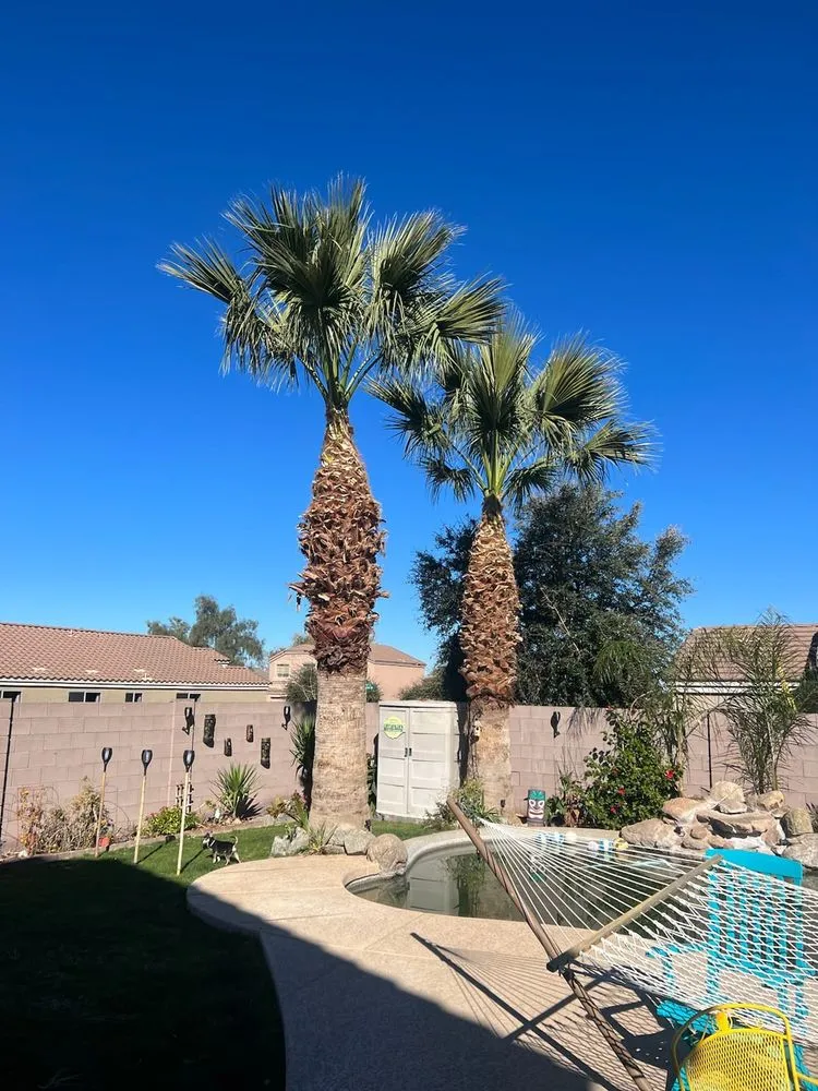 Local lawn mowing service in Gilbert, AZ - CBS Landscaping and Construction