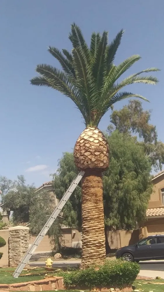 Custom landscape design experts serving Gilbert, AZ - CBS Landscaping and Construction