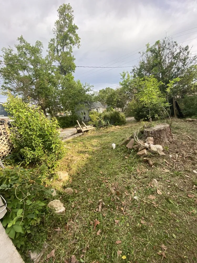 Top-rated lawn care service in Little Rock, AR - CBS Lawn Care