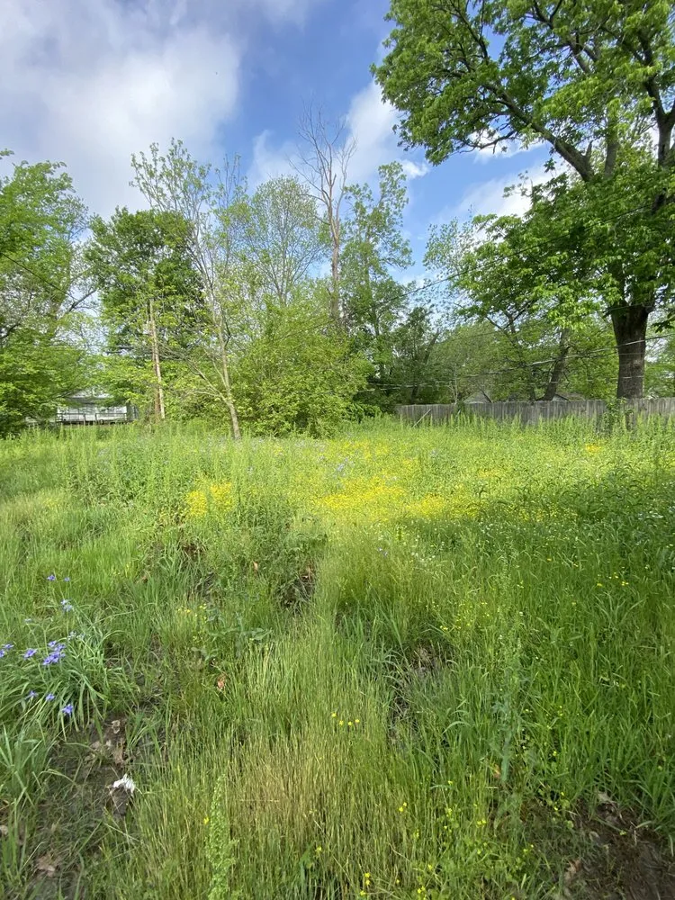 Local landscape installation in Little Rock, AR - CBS Lawn Care