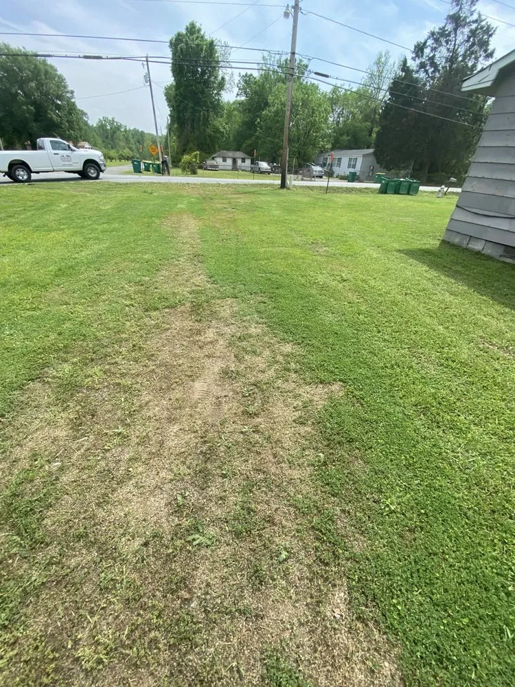 Expert yard maintenance experts serving Little Rock, AR - CBS Lawn Care