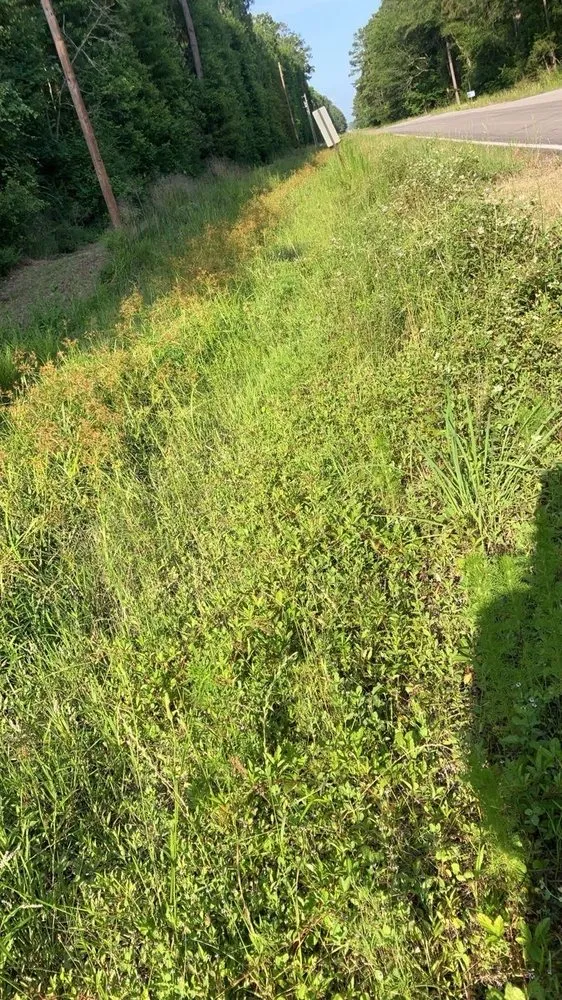 Professional garden landscaping in Dayton, TX - CB’S Lawn Care Services