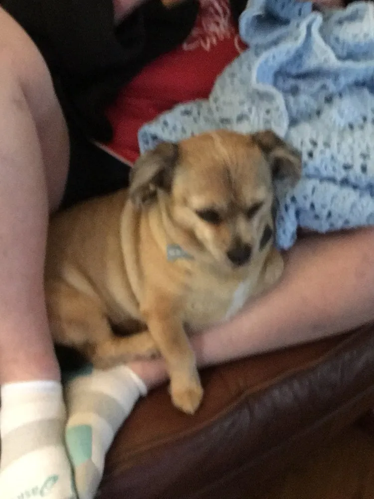 Top-rated landscaping services in Spring, TX by CBS Lawn Care