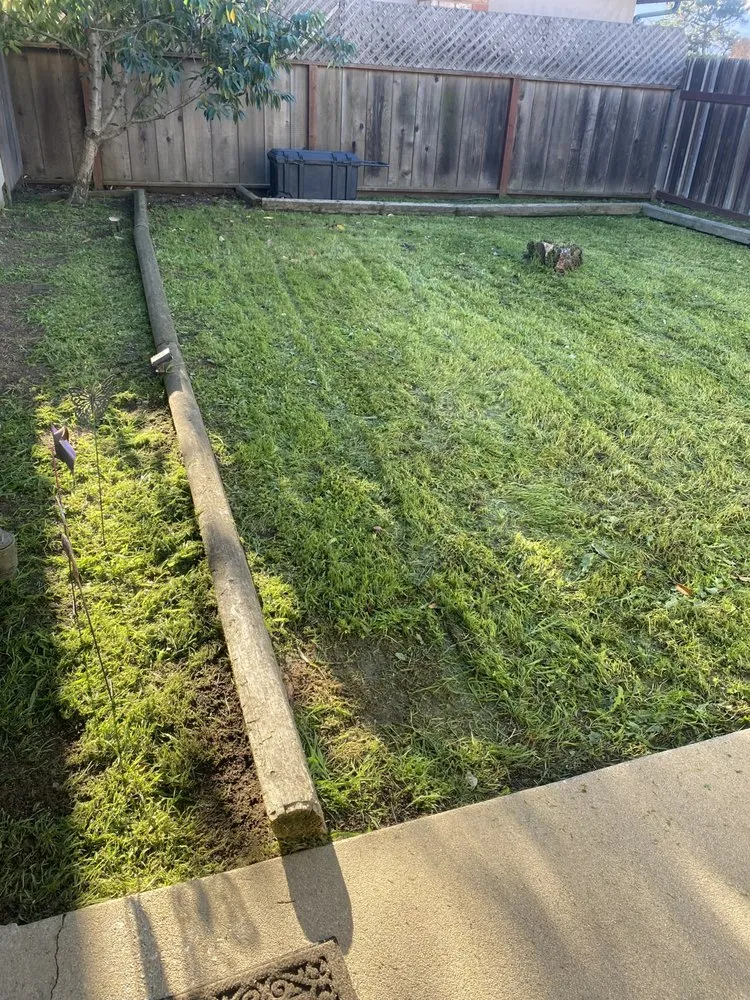 Expert outdoor landscaping experts serving Salinas, CA - CBS Mow Lower