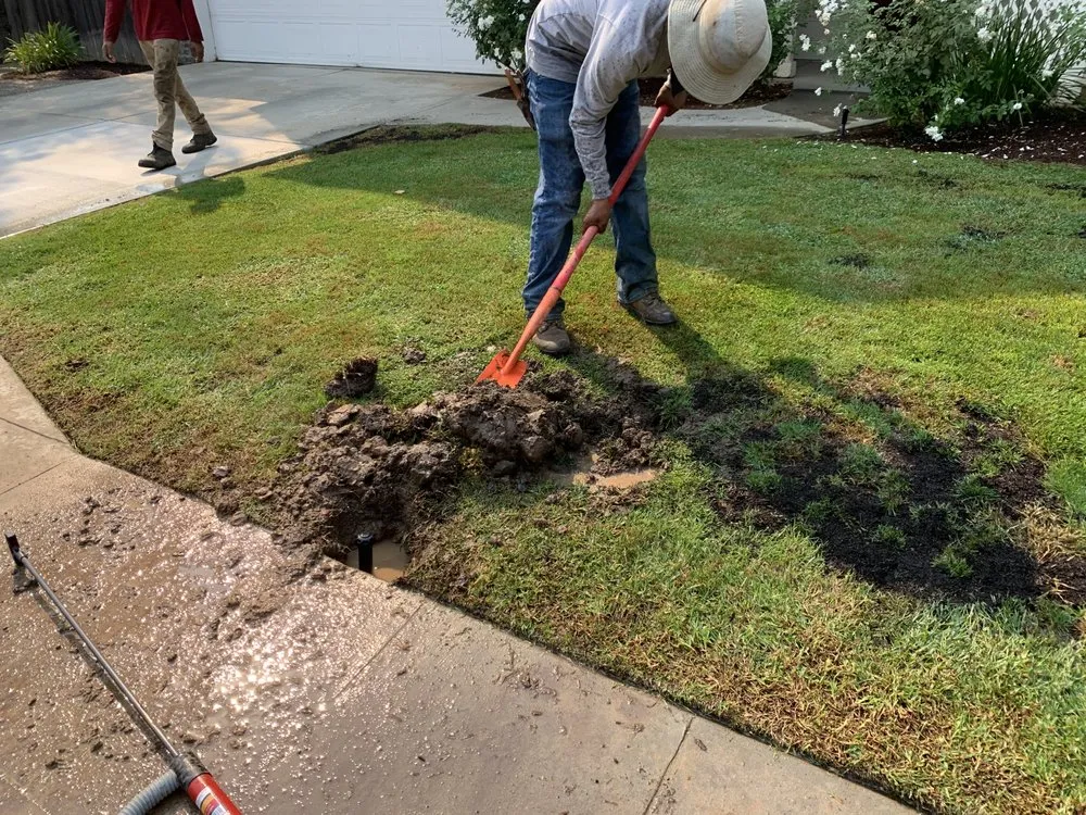 Custom yard maintenance for homes across Fresno, CA - CBS Tree Service & Landscaping Maintenance