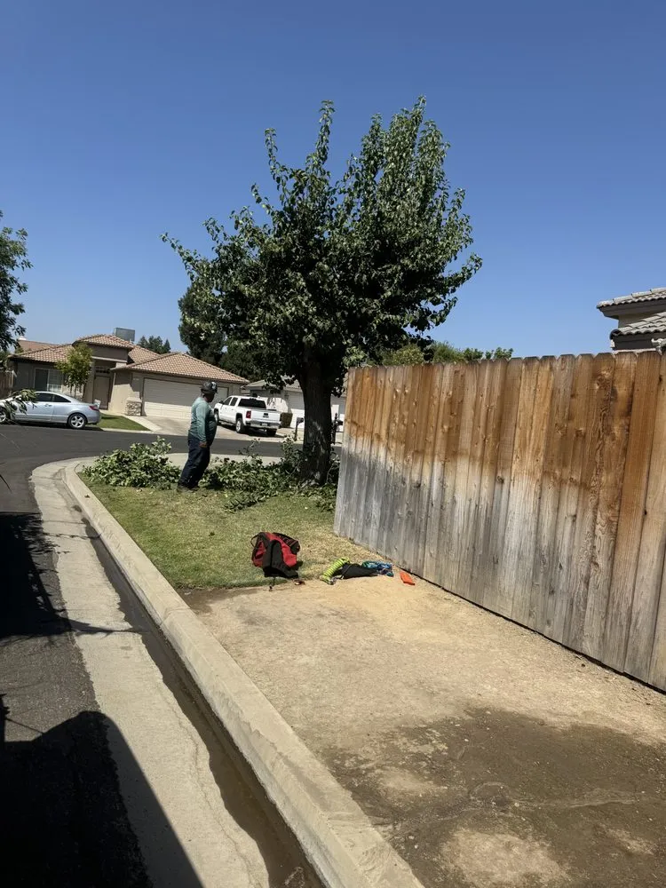Affordable residential landscaping for residential properties across Fresno, CA - CBS Tree Service & Landscaping Maintenance