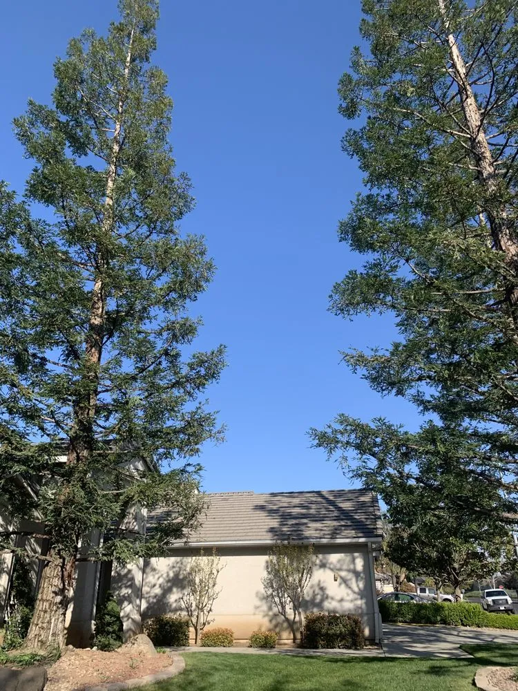 Custom residential landscaping for residential properties in Fresno, CA by CBS Tree Service & Landscaping Maintenance