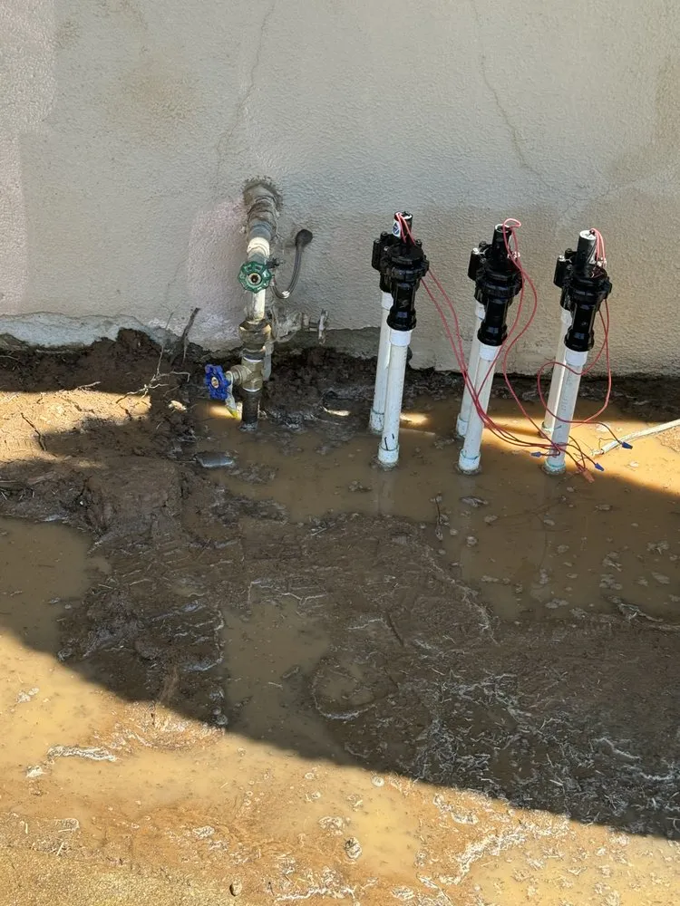 Professional residential landscaping for year-round maintenance across Fresno, CA - CBS Tree Service & Landscaping Maintenance