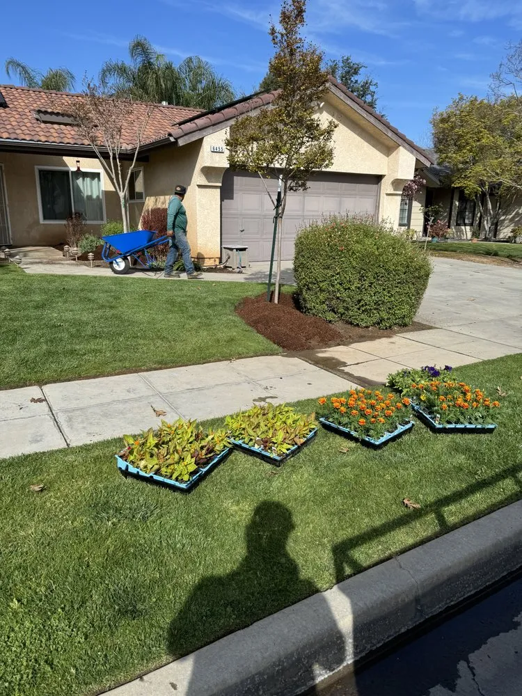 Top-rated lawn care service in Fresno, CA - CBS Tree Service & Landscaping Maintenance