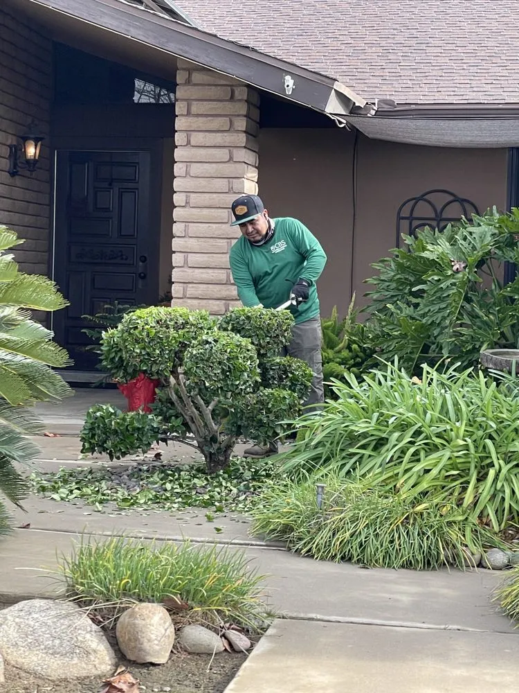 Reliable garden landscaping near you in Fresno, CA by CBS Tree Service & Landscaping Maintenance