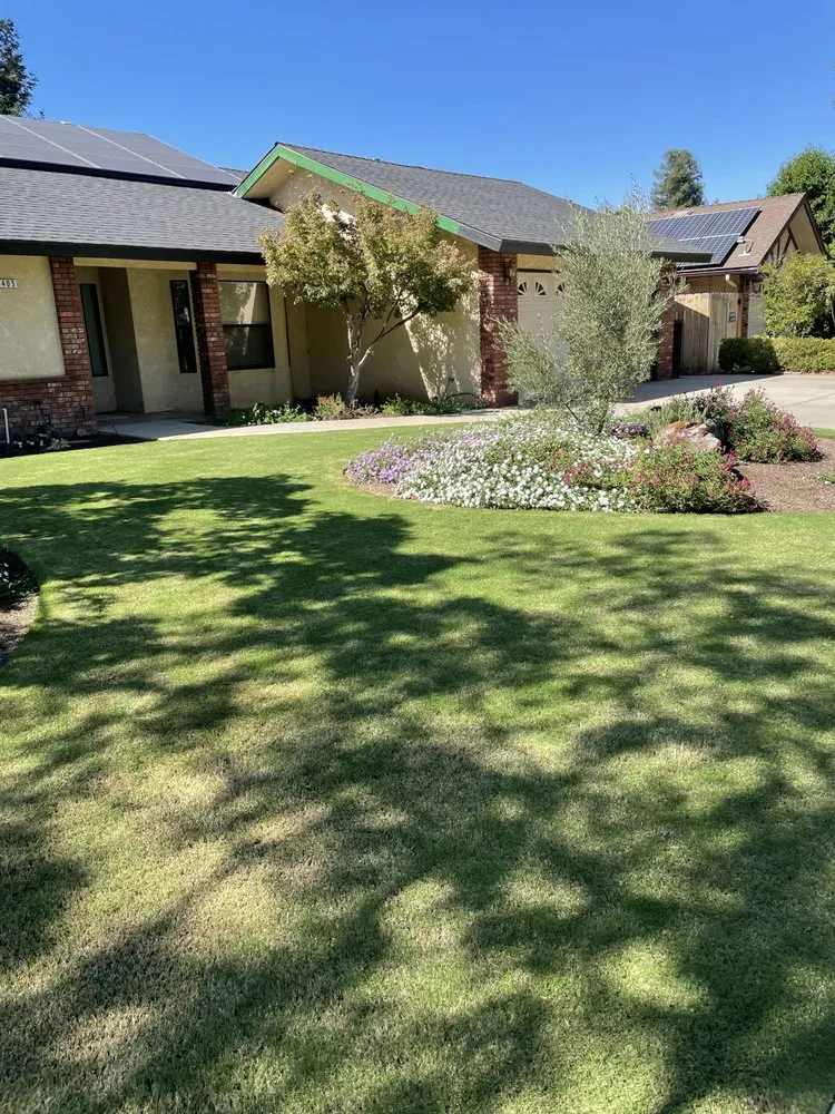 Affordable lawn mowing service in Fresno, CA by CBS Tree Service & Landscaping Maintenance