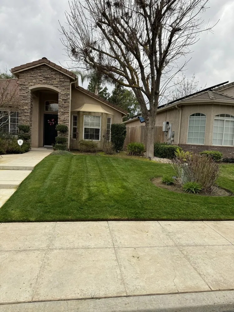 Custom garden landscaping for homes in Fresno, CA by CBS Tree Service & Landscaping Maintenance