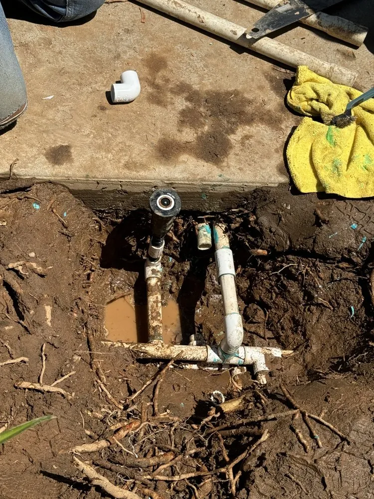 Custom residential landscaping experts serving Fresno, CA - CBS Tree Service & Landscaping Maintenance