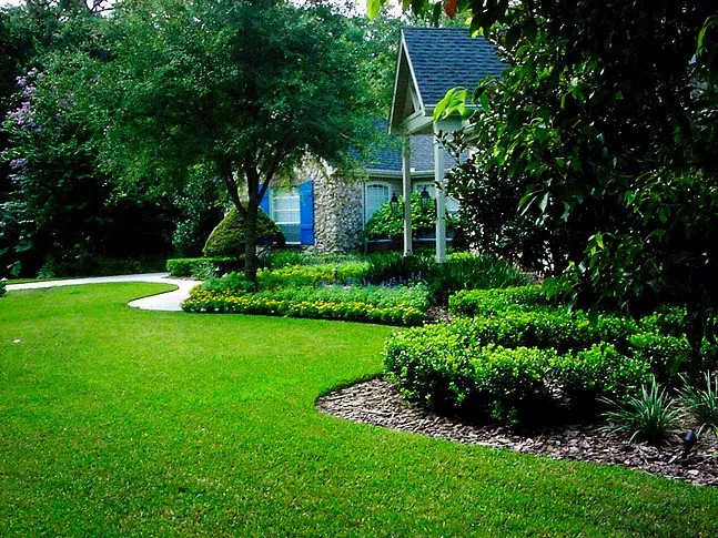 Top-rated lawn care service near you in Brockton, MA by CBX Landscaping And Construction