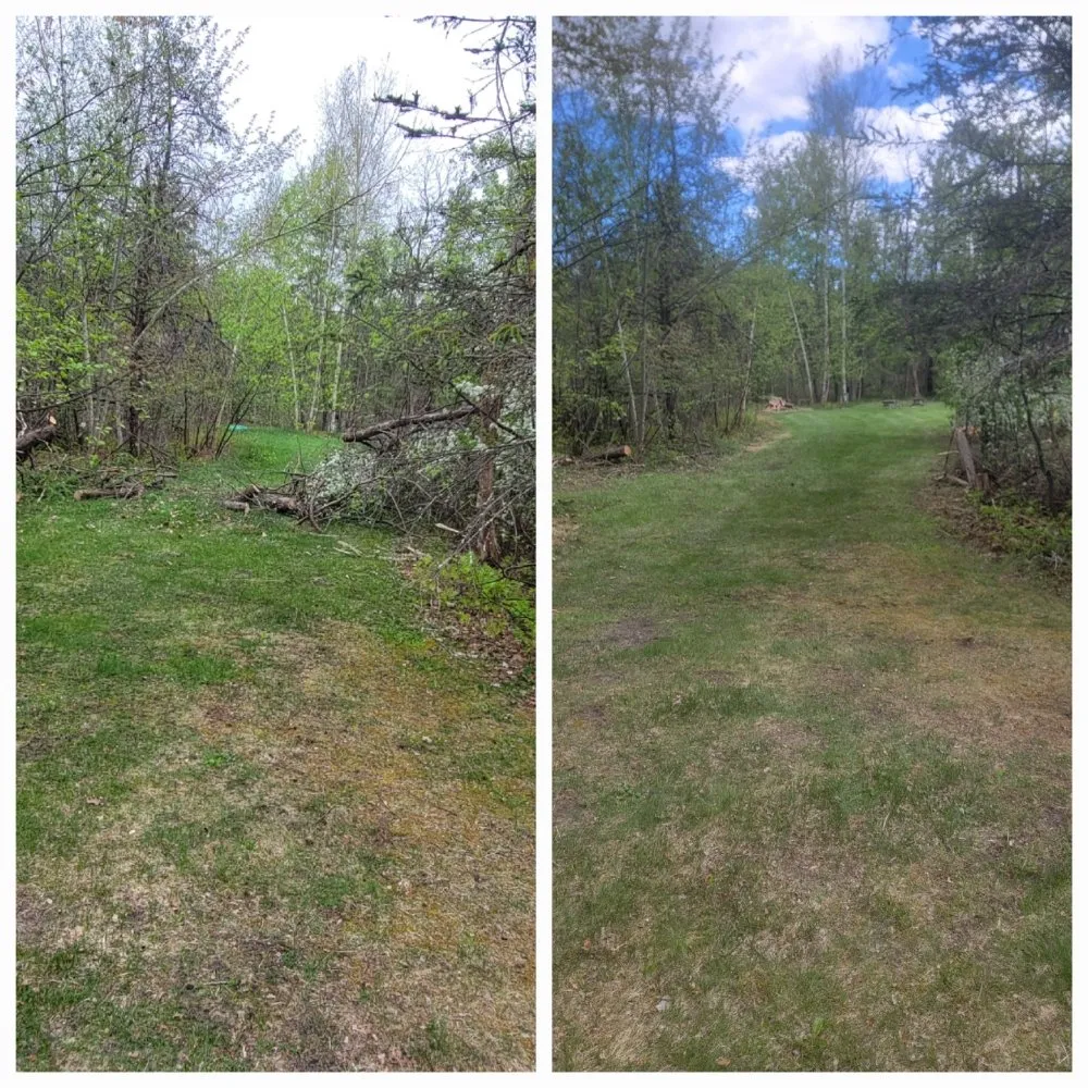 Professional landscaping services in Sterling, MI - C&C Cleaning