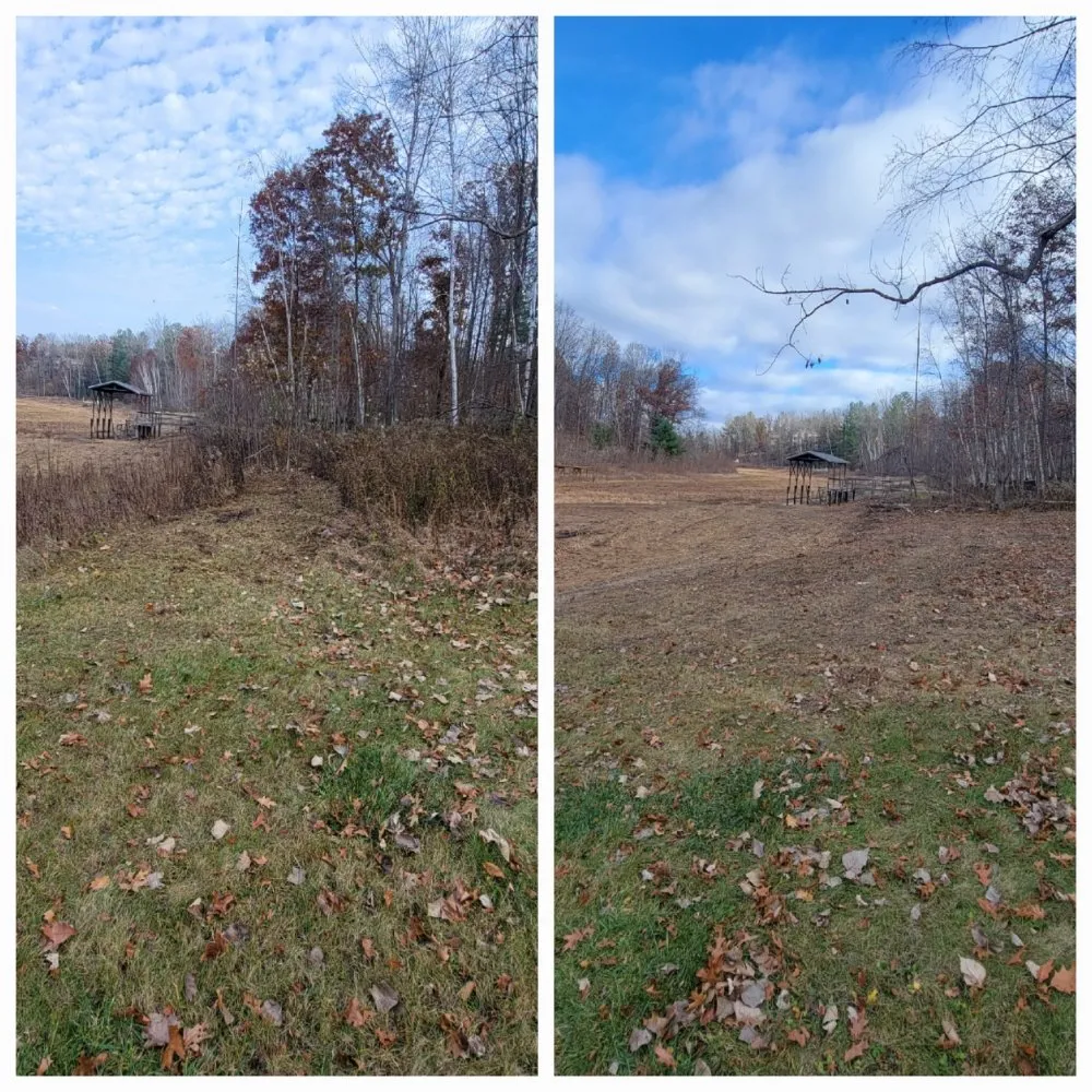 Expert residential landscaping experts serving Sterling, MI - C&C Cleaning