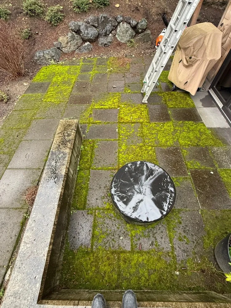 Trusted landscape design for residential properties in Snohomish, WA by CC Concrete & Landscape