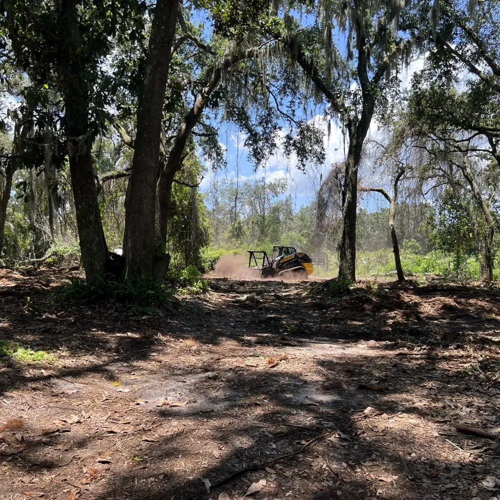 Trusted lawn care service for outdoor upgrades across Merritt Island, FL - C&C Forestry