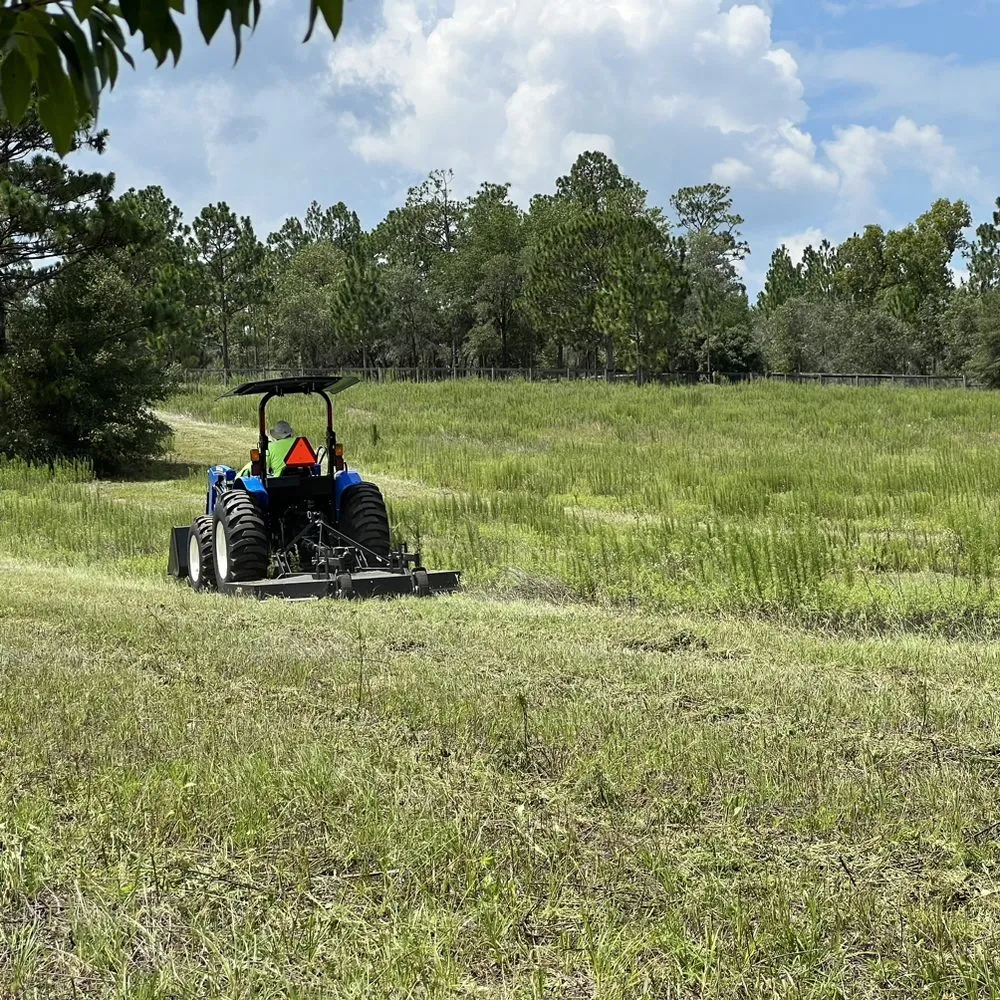 Expert yard cleanup service for year-round maintenance across Merritt Island, FL - C&C Forestry