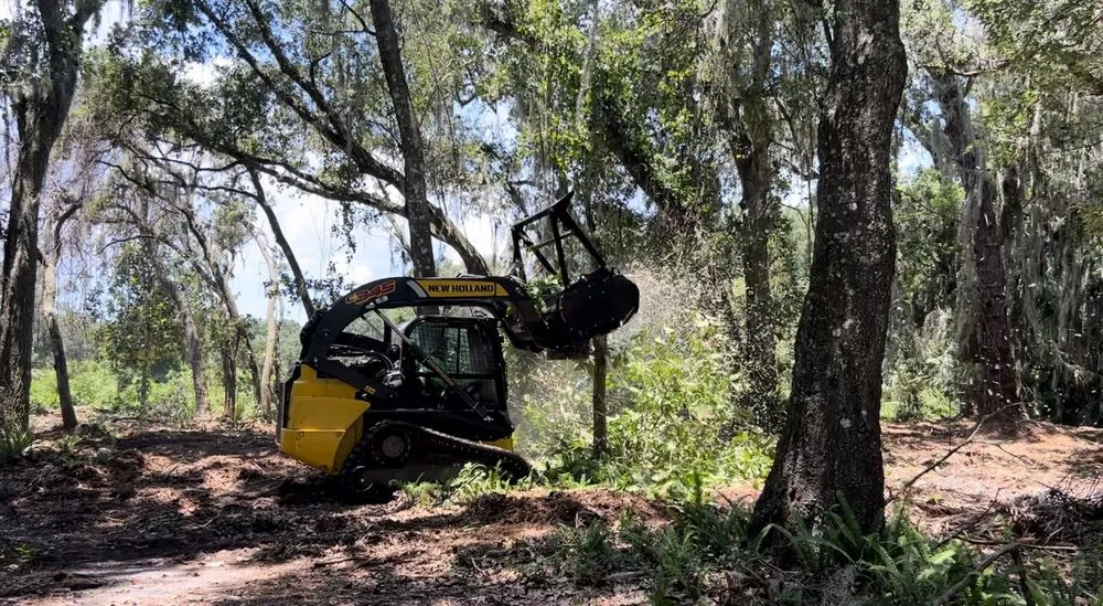 Top-rated lawn mowing service with custom design in Merritt Island, FL by C&C Forestry