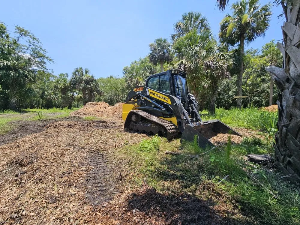 Professional landscape installation for beautiful yards across Merritt Island, FL - C&C Forestry