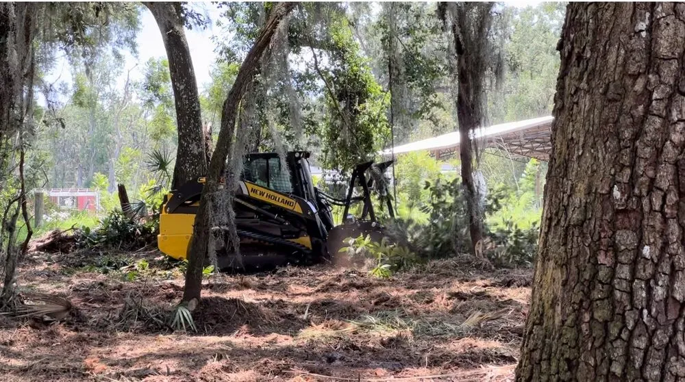 Trusted lawn care service for homes in Merritt Island, FL by C&C Forestry