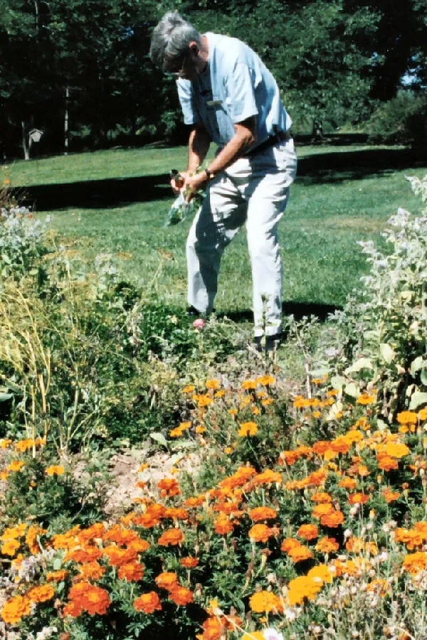 Top-rated yard maintenance for outdoor upgrades in Winnetka, CA by C&C Gardening Services and Landscaping