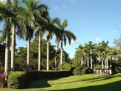 Expert residential landscaping in Winnetka, CA - C&C Gardening Services and Landscaping