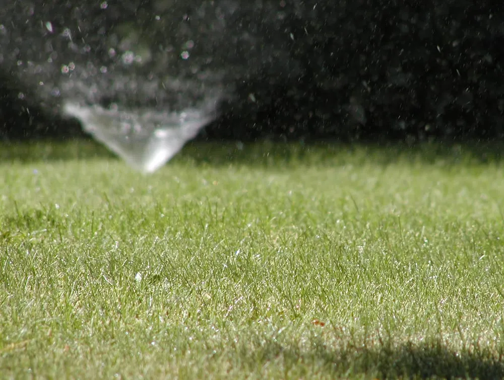 Local garden landscaping experts serving Winnetka, CA - C&C Gardening Services and Landscaping