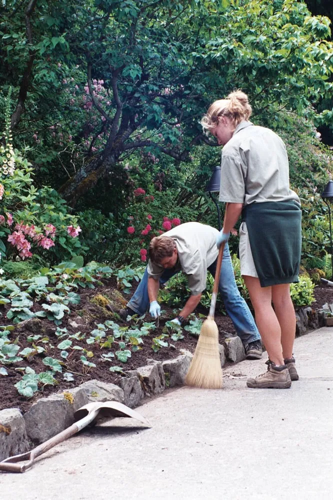 Trusted lawn mowing service experts serving Winnetka, CA - C&C Gardening Services and Landscaping