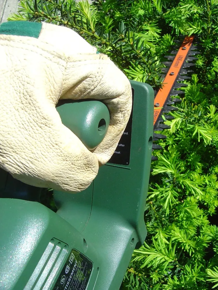 Custom landscape installation in Winnetka, CA by C&C Gardening Services and Landscaping