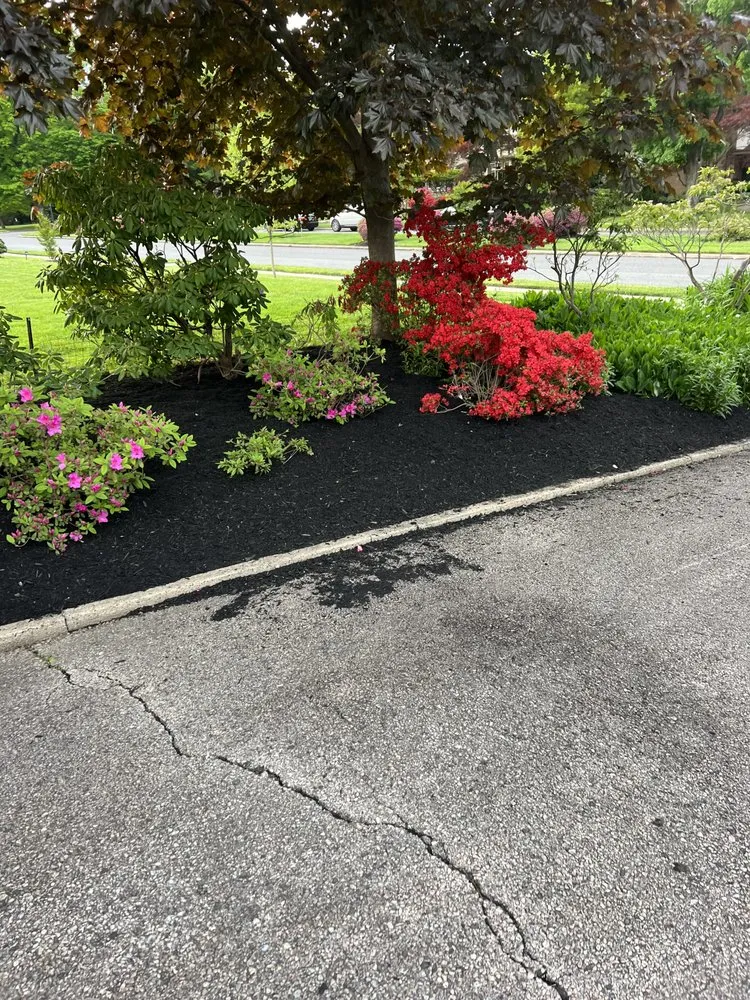 Local yard maintenance near you in Philadelphia, PA by C&C General Landscaping