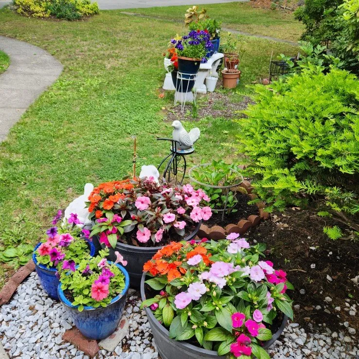 Local yard cleanup service experts serving Worcester, MA - C&C Home Maintenance