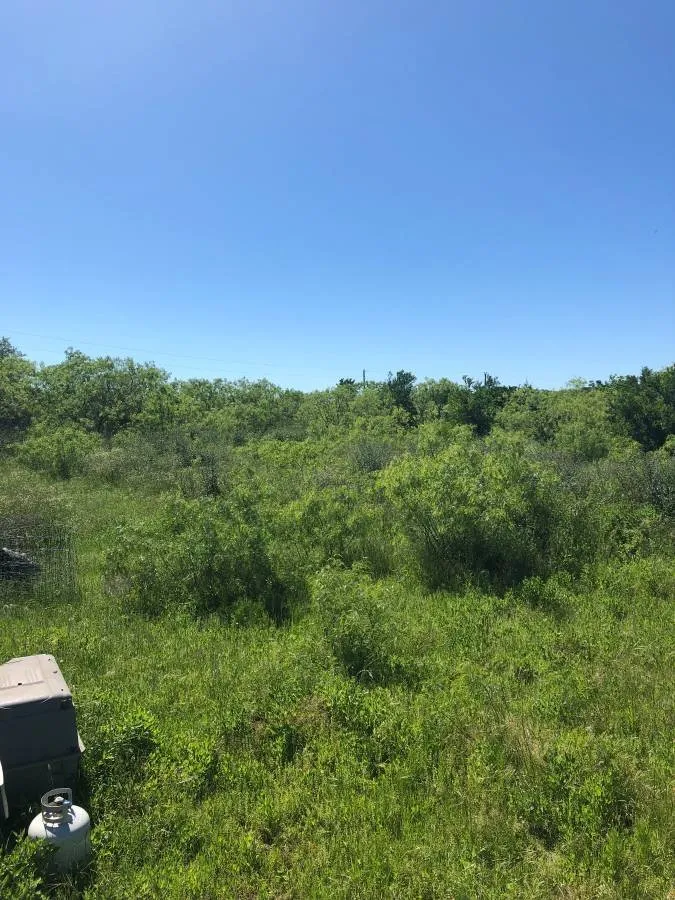 Reliable residential landscaping in Locust, NC - C&C Home Solutions