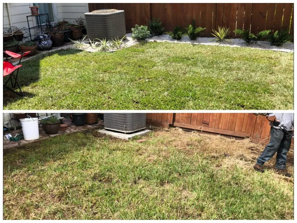 Trusted yard cleanup service in Locust, NC by C&C Home Solutions