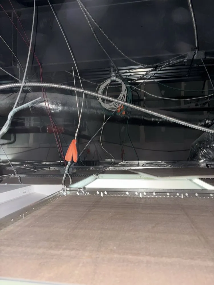 Custom landscape installation near you in Wilmington, NC by CC Home Solutions