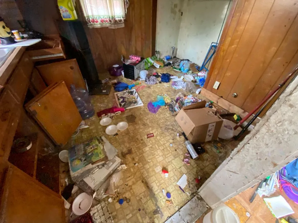 Professional yard cleanup service for beautiful yards across Corpus Christi, TX - CC Junk Removal